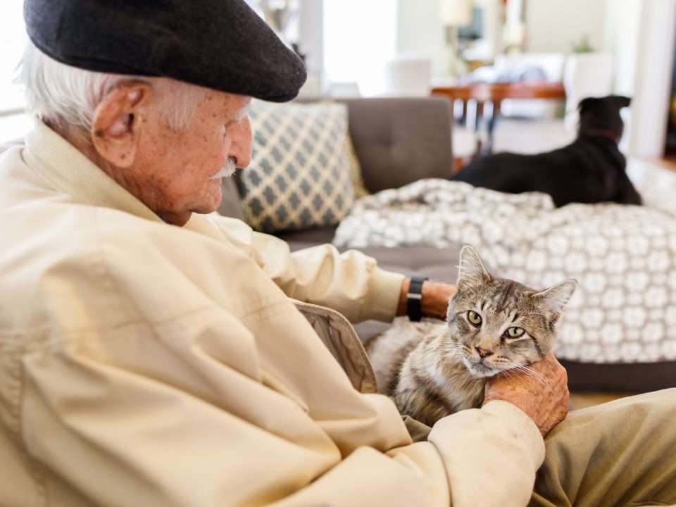 elderly man with pet cat in his home